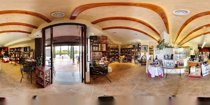 Vinoteca Molina Hros