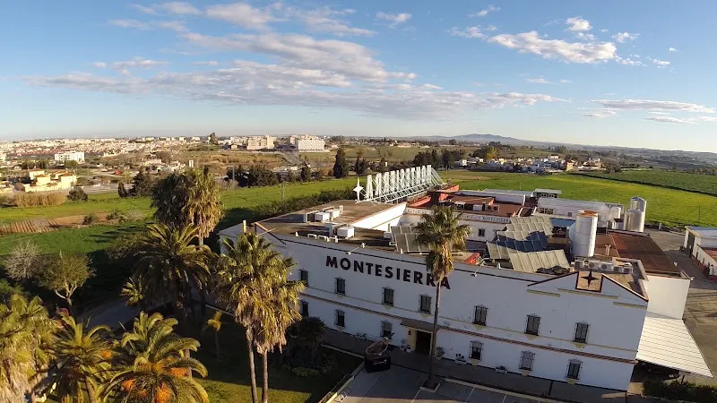 Montesierra - Carnicería en Jerez de la Frontera - foto 3