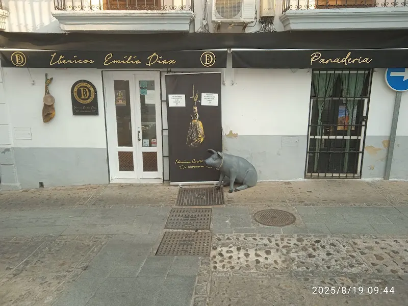 Jamones Emilio Díaz Blanco - Tienda de jamones en Jerez de los Caballeros - foto 2