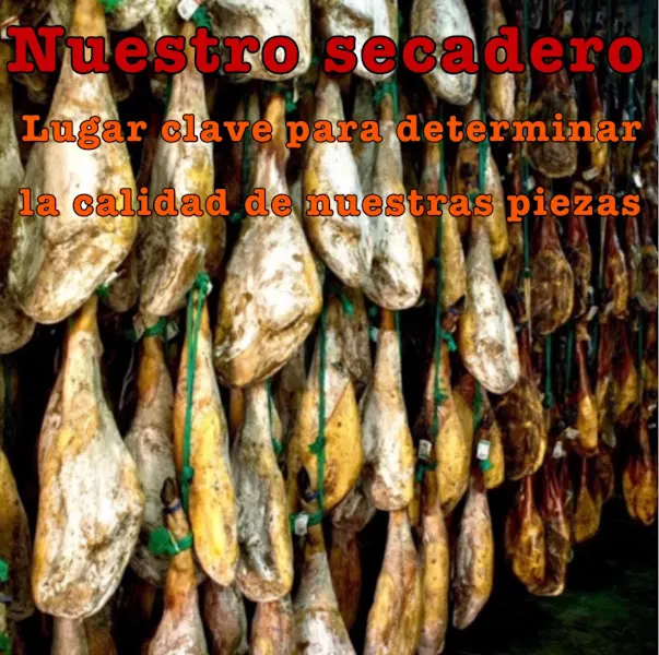 Iberus Hispania