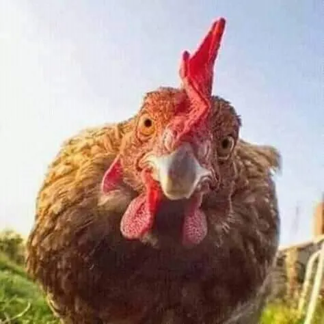 Embutidos Collbaix
