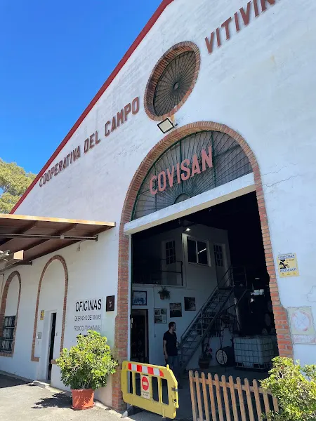 Cooperativa del campo vitivinícola sanluqueña COVISAN - Tienda de vinos en Sanlúcar de Barrameda - foto 2