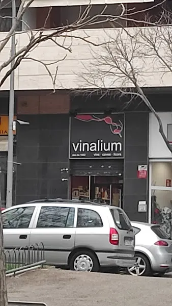Vinalium Esplugues - Tienda de vinos en Esplugues de Llobregat - foto 2
