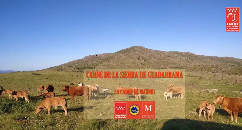 GRANJA COLMENAR - Granja en Soto del Real - foto 2