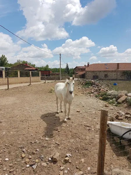 Embutidos Caba - Garray