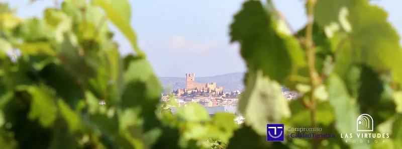 Bodega Las Virtudes - Bodega en Villena - foto 2