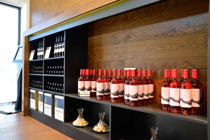Bodega y almazara La Purísima - Bodega en Yecla - foto 3