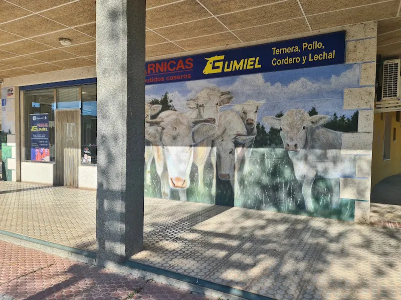 Cárnicas y Embutidos Gumiel - Carnicería en Aranda de Duero - foto 2