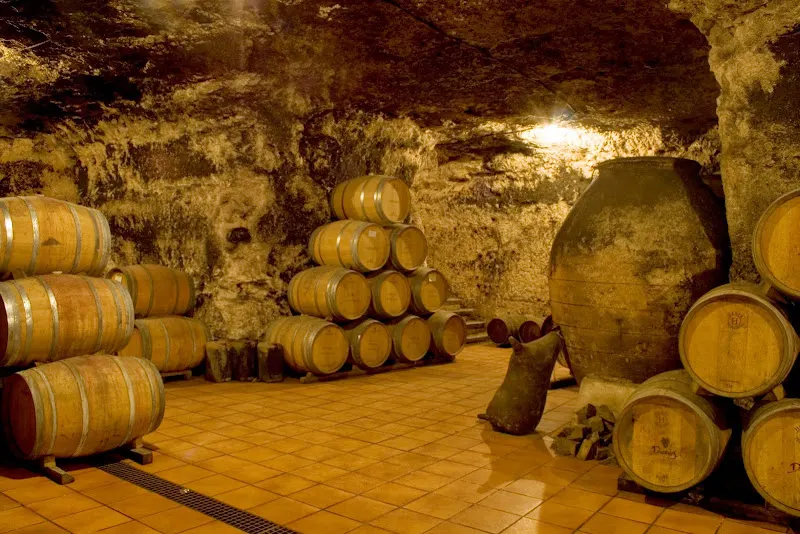 La Bodega de las Estrellas - Valdepeñas - Valdepeñas