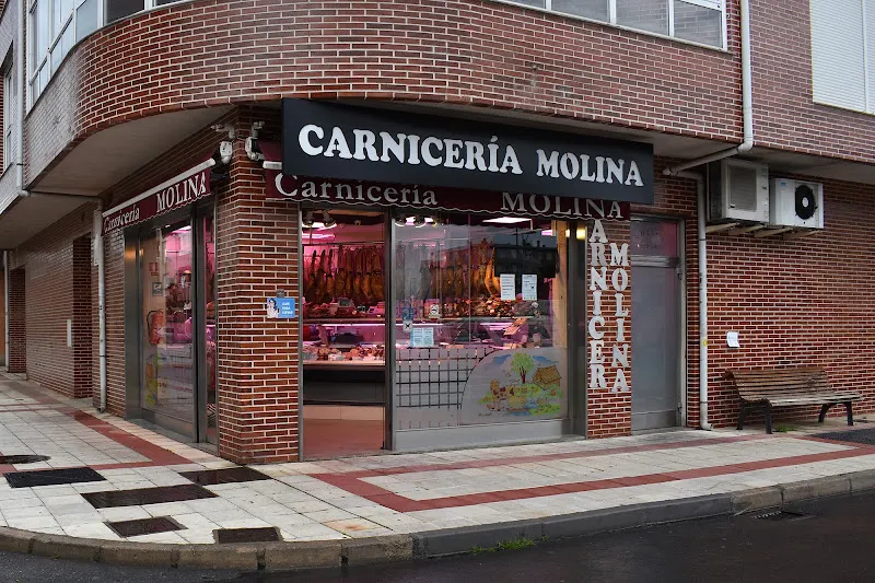 Charcutería Molina - Quesería en San Andres del Rabanedo - foto 2