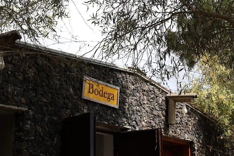 Bodegas Ferrera - Bodega y Tienda - Arafo
