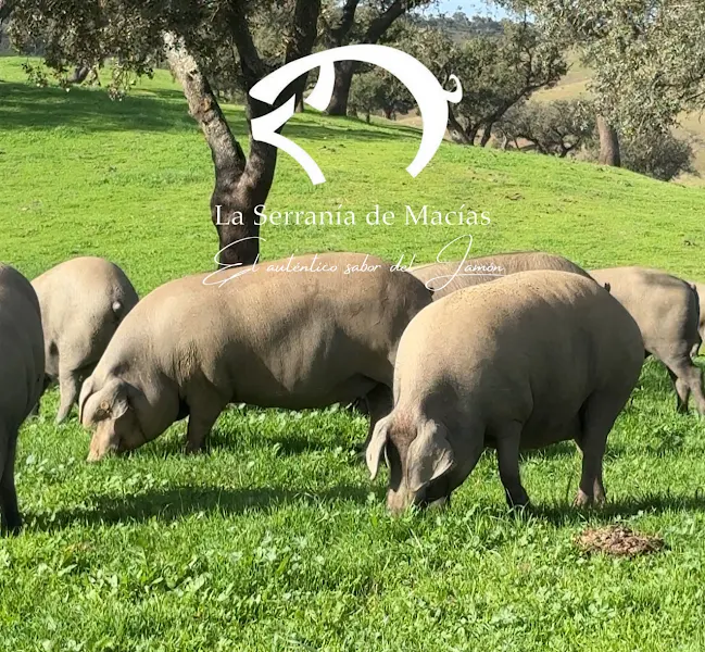 La Serranía de Macías - Jamones de Huelva - Cortegana