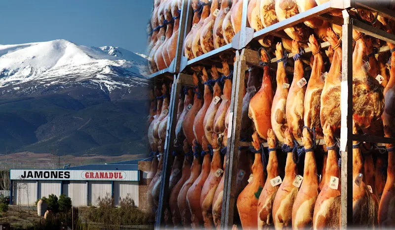 Jamones Granadul - Fábrica en Guadix - foto 2