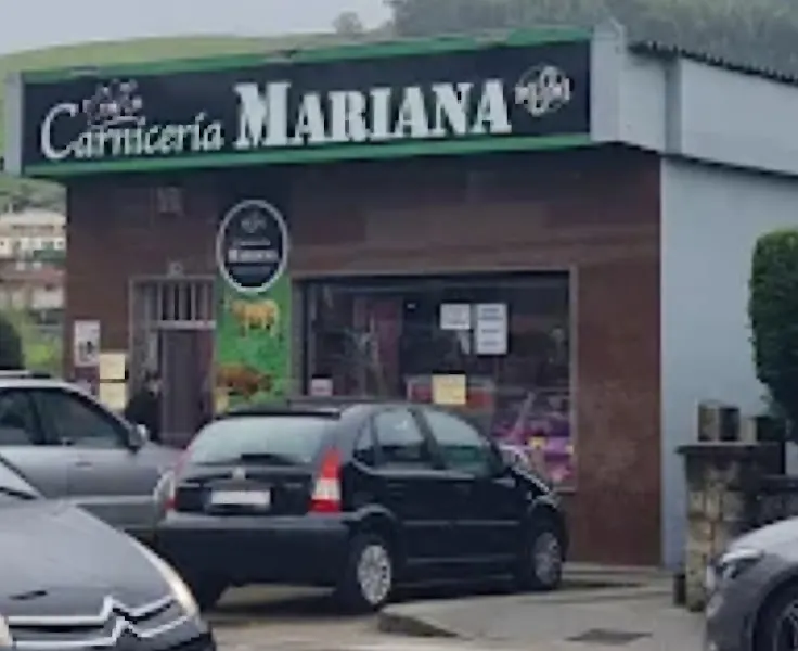 CARNICERÍA MARIANA - Carnicería en Pielagos - foto 2