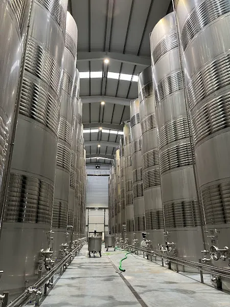 YUNTERO Bodegas - Bodega en Manzanares - foto 3