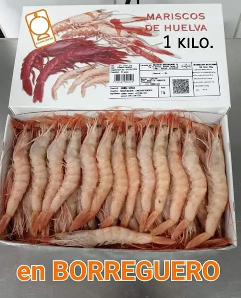 JAMONES BORREGUERO - El Viso del Alcor