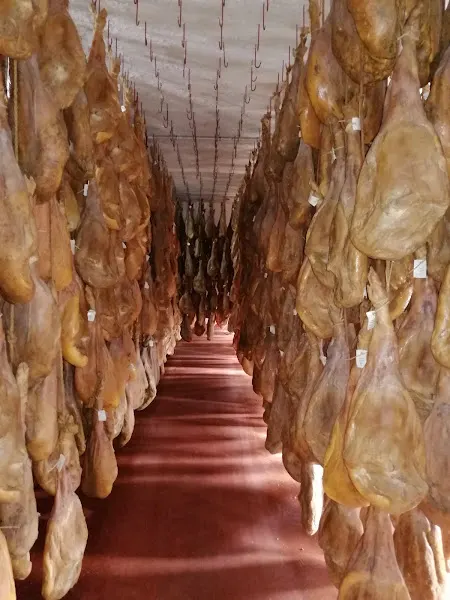 Jamones Ibéricos Calvo