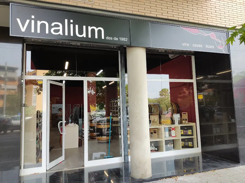 Vinalium Sant Just Desvern - Tienda de vinos en Sant Just Desvern - foto 2