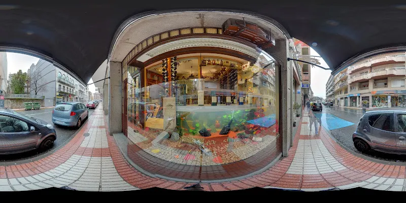 Ibérico y Vino Sabor de España - Tienda de jamones en Béjar - foto 2