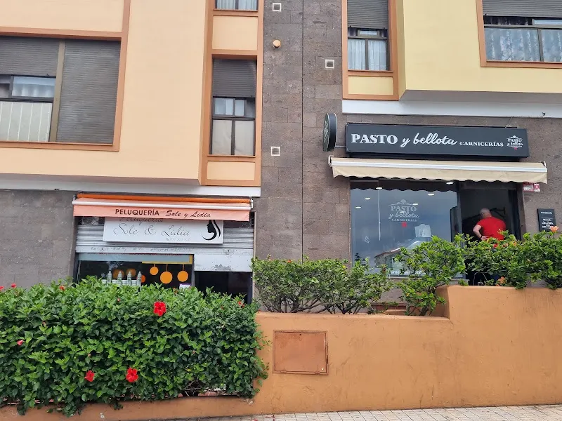PASTO Y BELLOTA SANTA ÚRSULA - Carnicería en Santa Ursula - foto 2