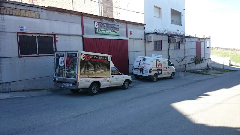 Cejudo González S L - Estepa