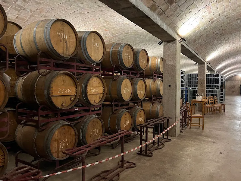Bodegas Canals & Munné Vinos y Cavas. Visitas Sant Sadurni - Bodega en Sant Sadurni dAnoia - foto 3