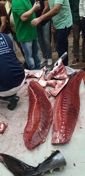 Diper - Mayorista de carnes en Ceuti - foto 2