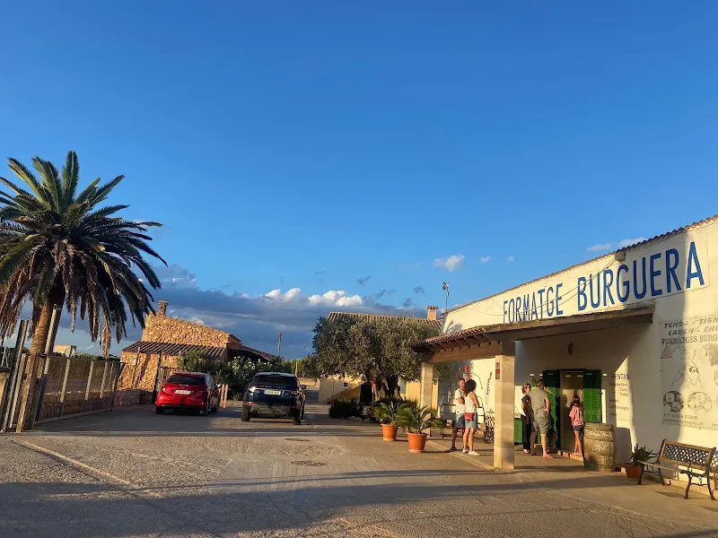 Formatges Burguera - Campos