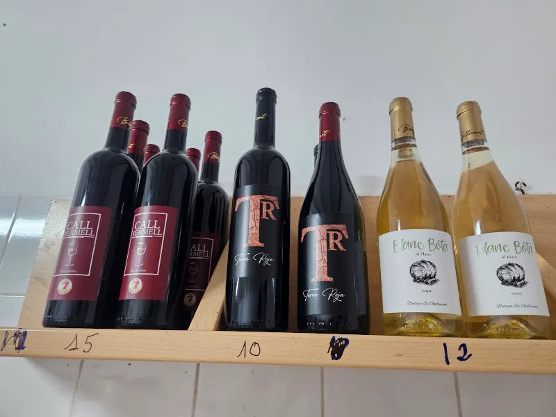MASITJAR IBIZA S.L. (BODEGA ES GALLICANT) - Bodega en Campos - foto 2