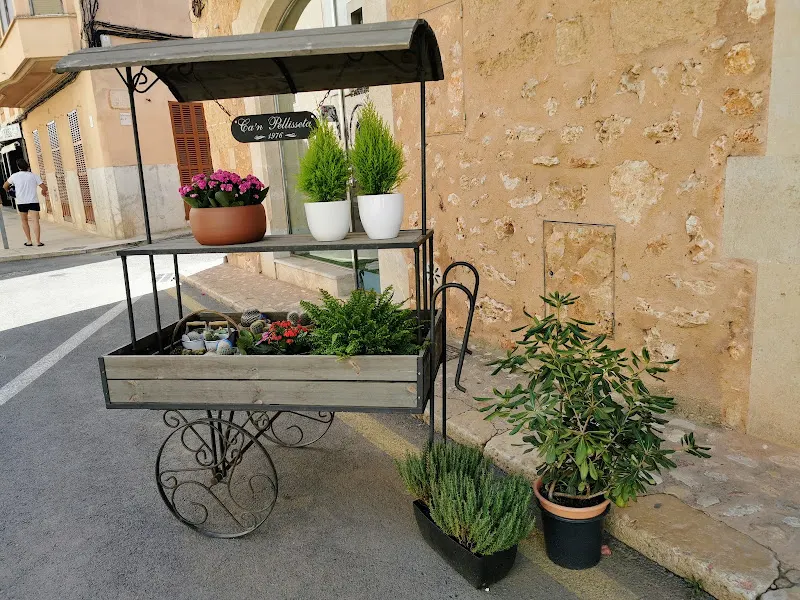SU agricultor en casa - Frutería en Campos - foto 2