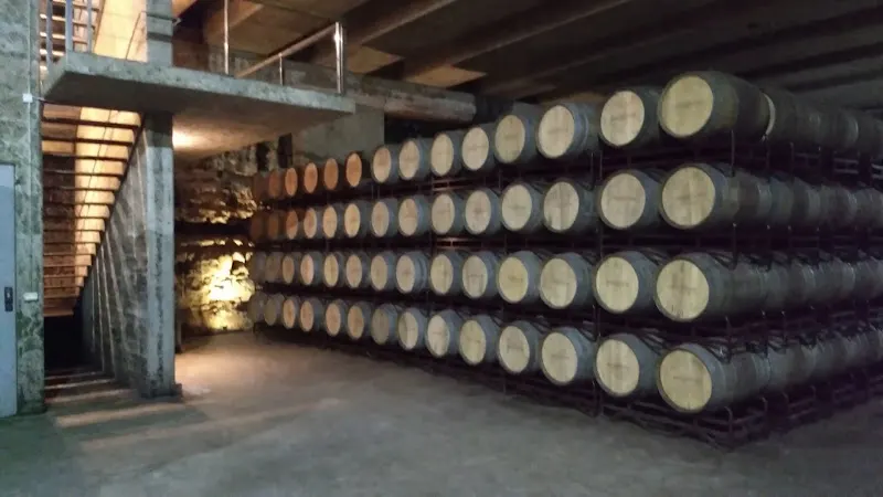 Bodegas Murillo Viteri - Tienda Vino - Tienda de vinos en Etxebarri - foto 2