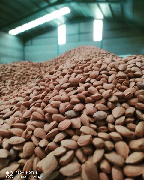 Almendras JMP