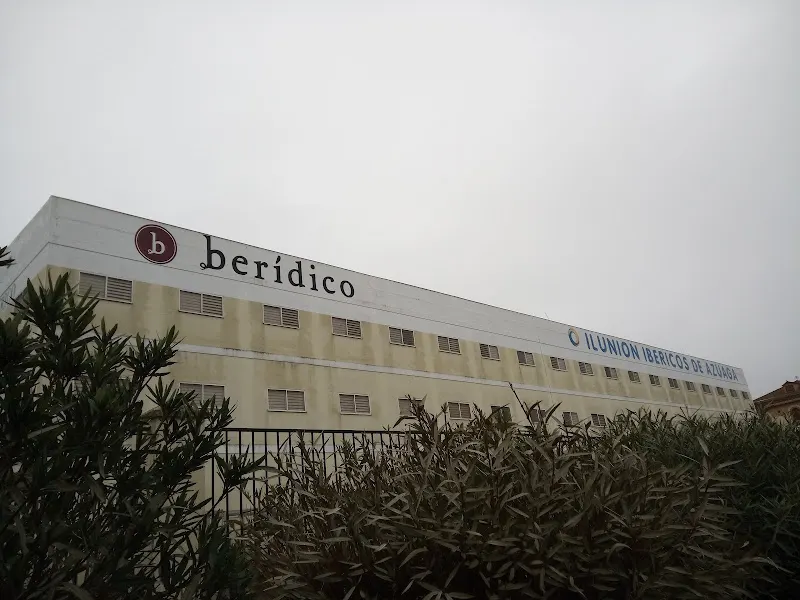 ILUNION IBÉRICOS DE AZUAGA - Tienda de Jamones y Embutidos Ibéricos Berídico