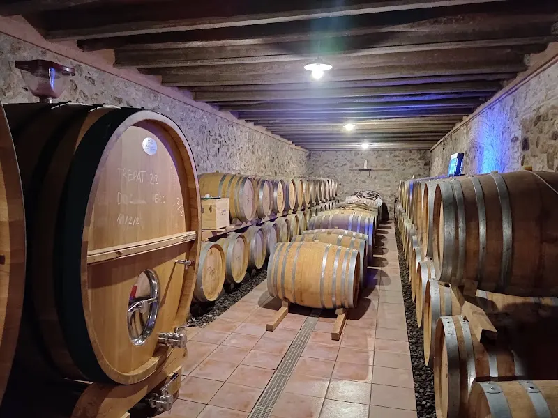 MAS FORASTER. - Bodega en Montblanc - foto 3