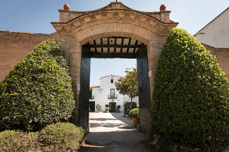 Finca Ca n'Estella - Bodega en Sant Esteve Sesrovires - foto 2
