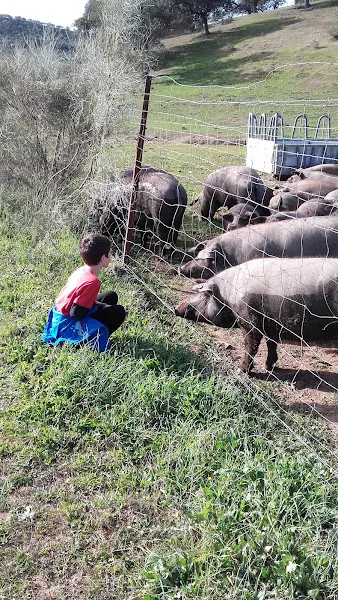 Ibericos el Maestre - Carnicería en Puebla del Maestre