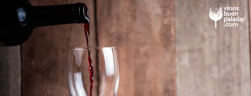 Vinos Buen Paladar - Iscar