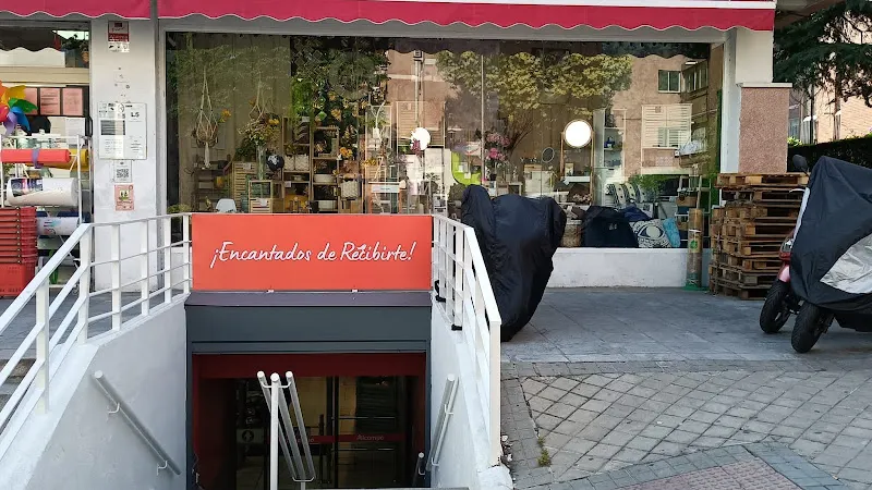 Alcampo Supermercado