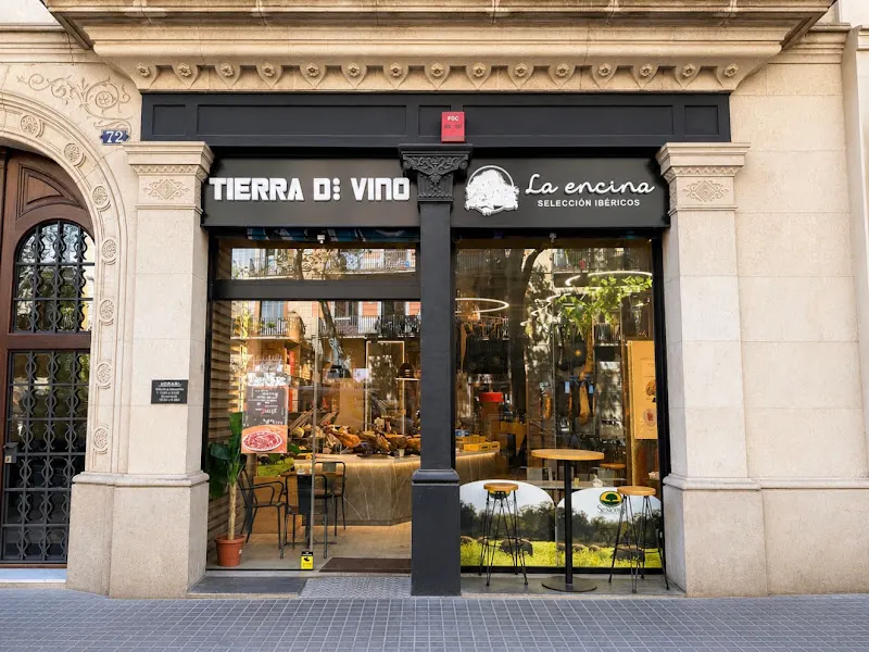 Tierra de Vino - Tienda de vinos en Barcelona - foto 2